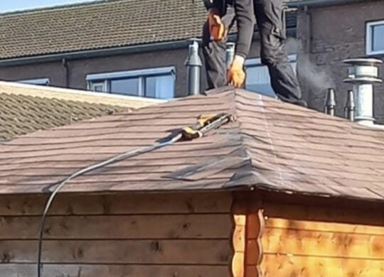 Shingles 5